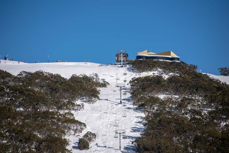 From Melbourne: Mount Buller Guided Day Tour - The guides and the human side of the trip