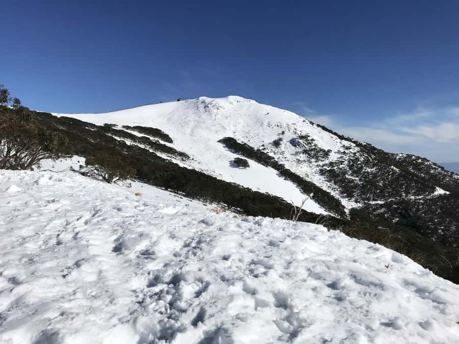 From Melbourne: Mt Buller Snow Day Small Group Boutique Tour - The second snow-play area and your afternoon choice
