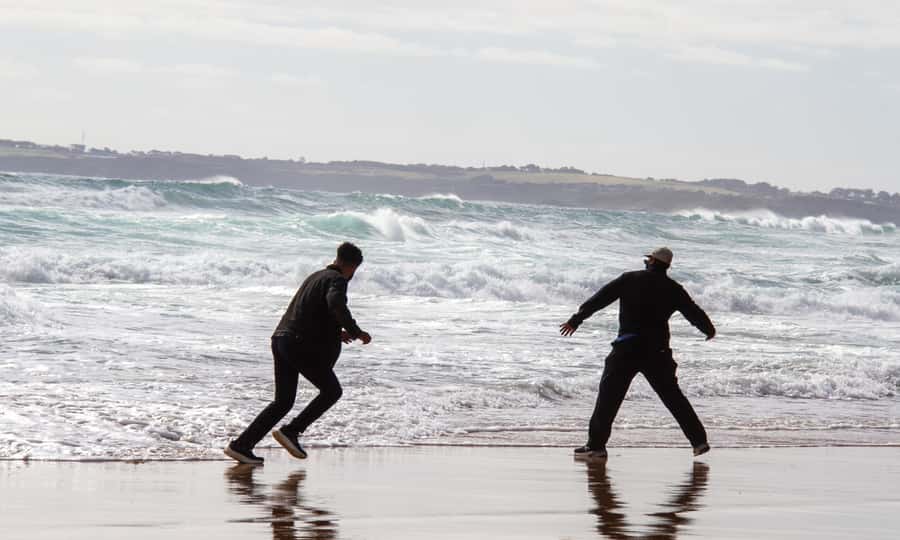 From Melbourne: Penguin Parade Afternoon Tour - The Nobbies brings cliffs, sea, and wildlife