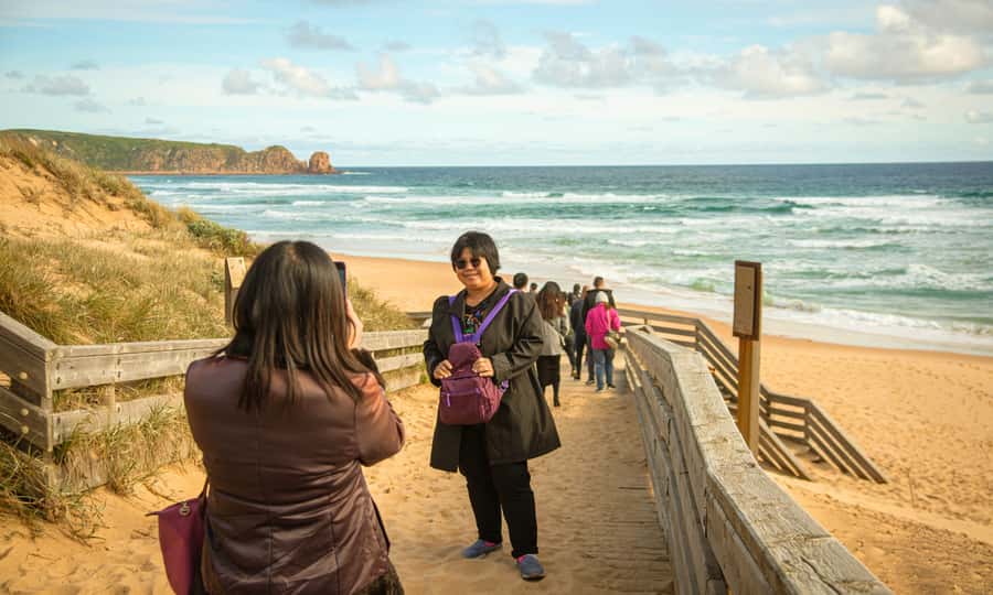 From Melbourne: Penguin Parade Afternoon Tour - What the guide adds to the day