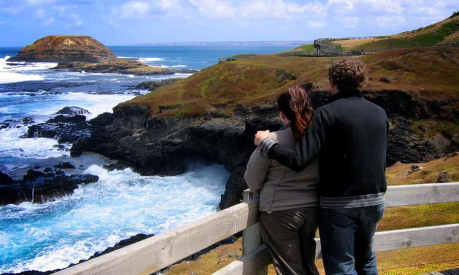 From Melbourne: Penguin Parade Afternoon Tour - Is $95 good value?