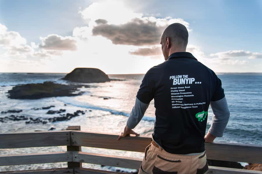 From Melbourne: Penguin Parade Afternoon Tour - Who should take this Phillip Island tour?