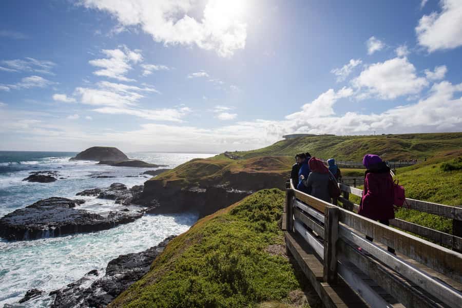 From Melbourne: Penguin Parade, Koalas & Kangaroos - Should You Book This Phillip Island Tour?