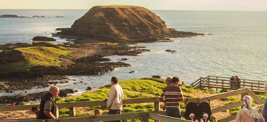 From Melbourne: Penguin Parade, Koalas & Kangaroos - Food, Seating, and the Long Ride Home