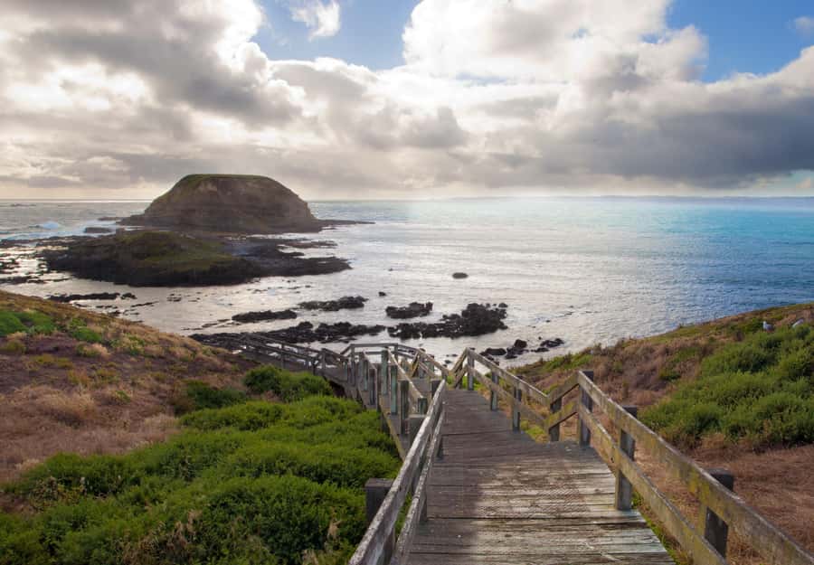 From Melbourne: Penguin Parade, Koalas & Kangaroos - Starting in Melbourne at Brighton Beach