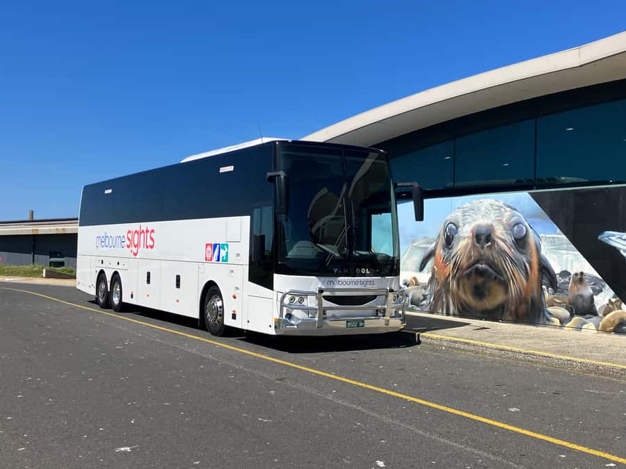 From Melbourne: Phillip Is Penguin Parade & Koala Reserve - The Nobbies boardwalk and Seal Rocks