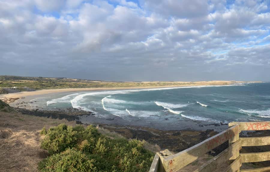 From Melbourne: Phillip Is Penguin Parade & Koala Reserve - The Penguin Parade after sunset
