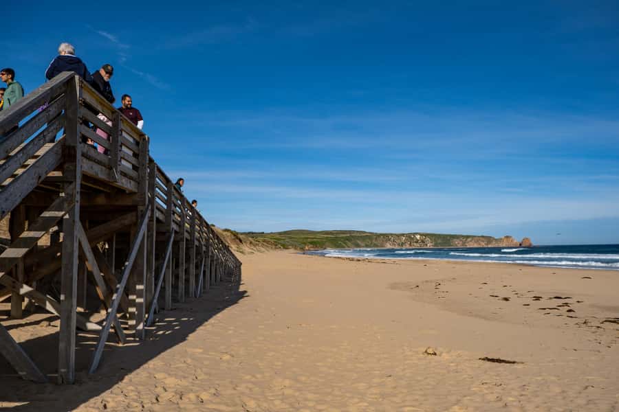 From Melbourne: Phillip Island and Penguin Parade Day Tour - How good is the $102 value?