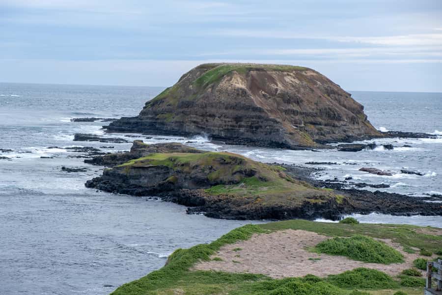 From Melbourne: Phillip Island and Penguin Parade Day Tour - Who should book this tour?