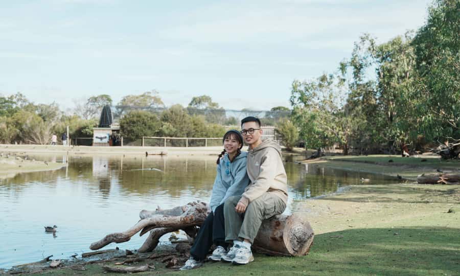 From Melbourne: Phillip Island Penguin Parade Eco Tour - What the guides add to a very long day