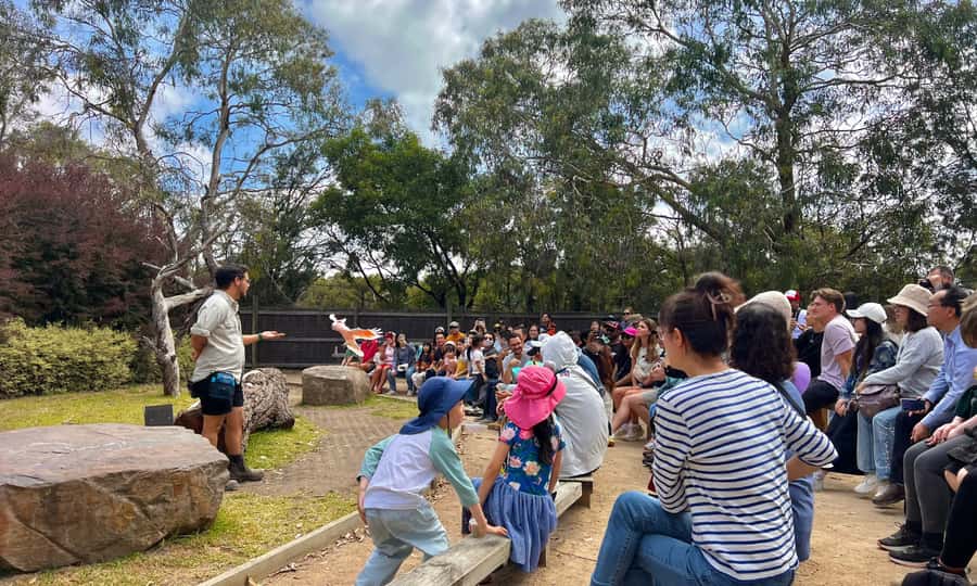 From Melbourne: Phillip Island Penguin Parade Eco Tour - Is $109 good value?