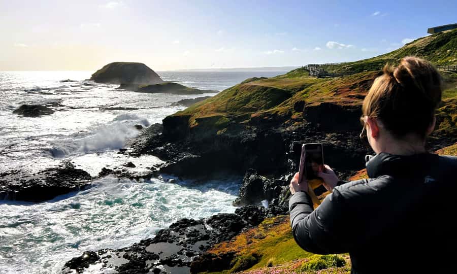 From Melbourne: Phillip Island Penguin Parade Eco Tour - Who should book this Phillip Island tour?