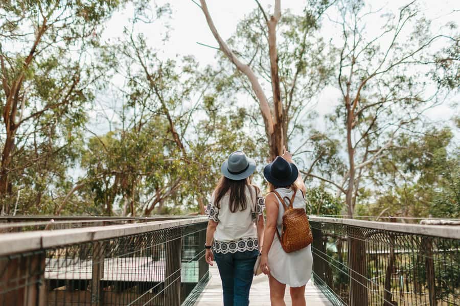 From Melbourne: Phillip Island Penguin Parade & Koalas Tour - The Penguin Parade at Summerland Beach