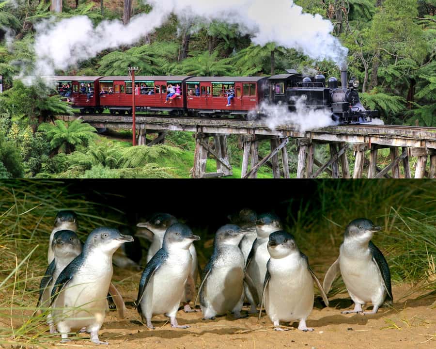 From Melbourne: Puffing Billy and Penguin Parade Combo Tour - Emerald Lake gives the morning some breathing room