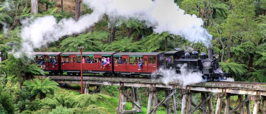 From Melbourne: Puffing Billy and Penguin Parade Combo Tour - Riding Puffing Billy through the hills