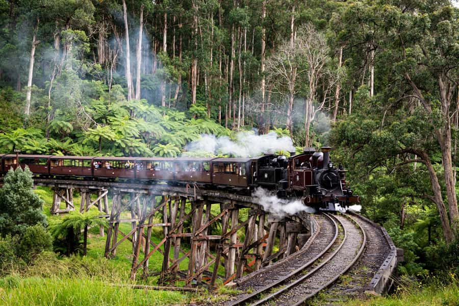 From Melbourne: Puffing Billy Train & Penguin Wildlife Tour - Key points to know before booking