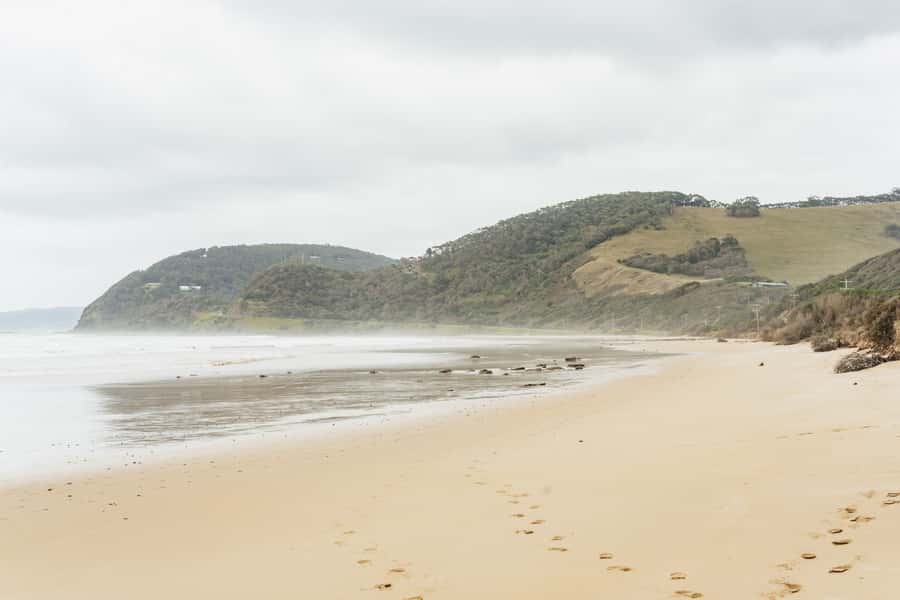 From Melbourne: Small-Group Great Ocean Road Day Trip - What The Small Group Adds