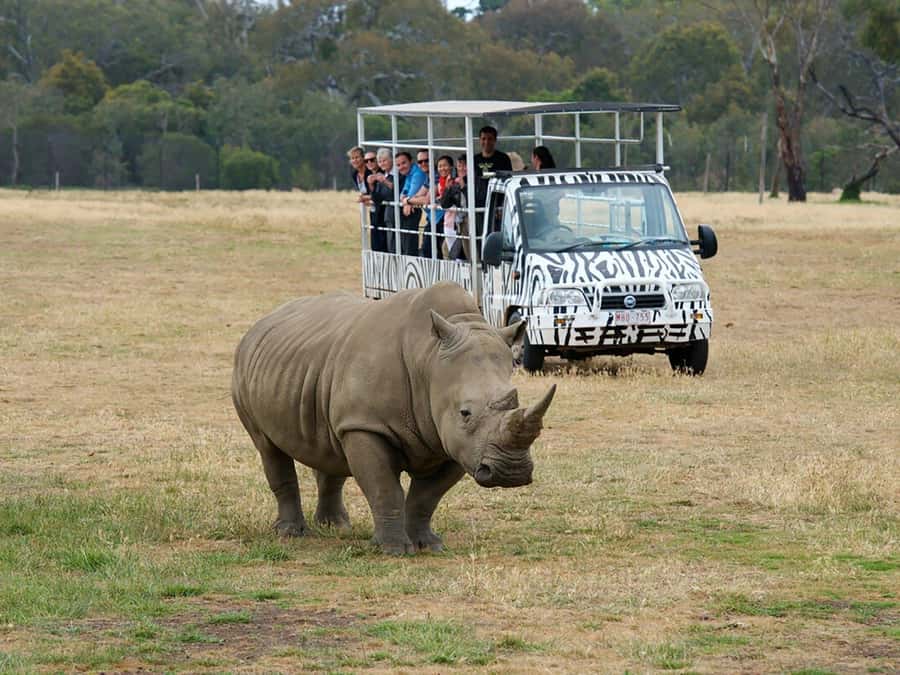 From Melbourne: Werribee Open Range Zoo & Werribee Mansion - Meeting Rick near Flinders Street