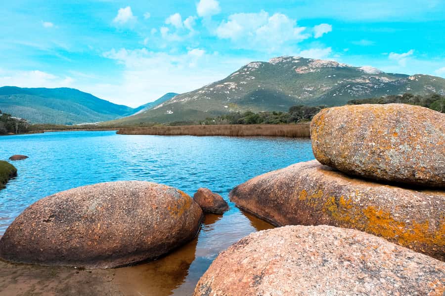 From Melbourne: Wilsons Promontory Small Group Day Tour - Key points to know before booking