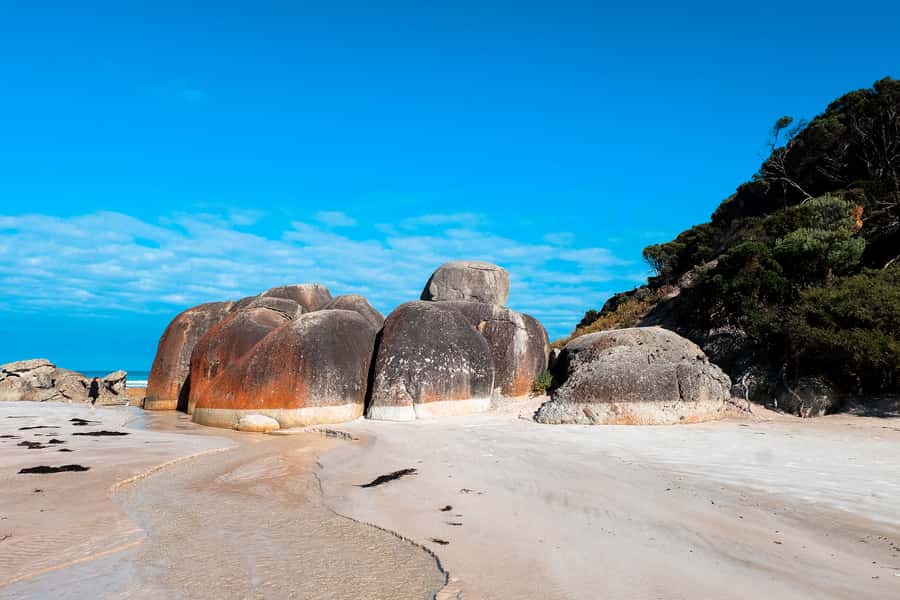 From Melbourne: Wilsons Promontory Small Group Day Tour - Mt Oberon: the best view comes with effort