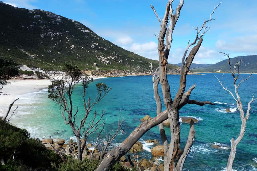 From Melbourne: Wilsons Promontory Small Group Day Tour - Transport, comfort, and what to pack