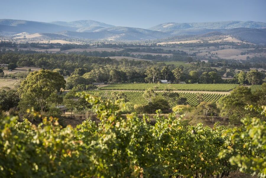 From Melbourne: Yarra Valley Chandon Cheese & Kangaroos Tour - Chandon Australia, Bubbles with a View