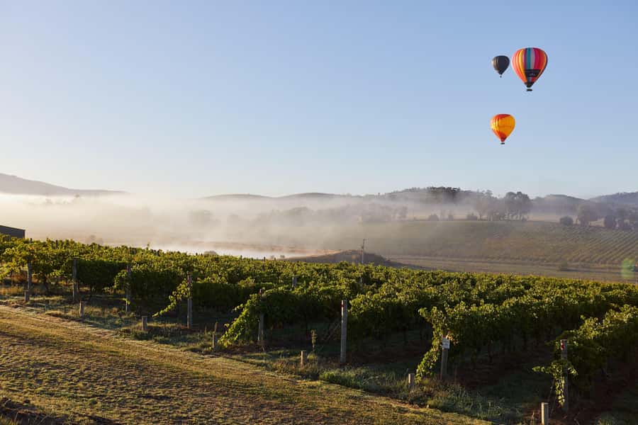 From Melbourne: Yarra Valley Hop-On-Hop-Off Bus Ticket - What $65 really gets you