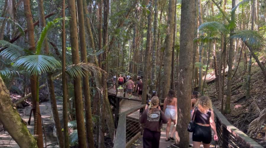 From Noosa: K'gari (Fraser Island) Small-Group Tour - Lake McKenzie, the day’s main reward
