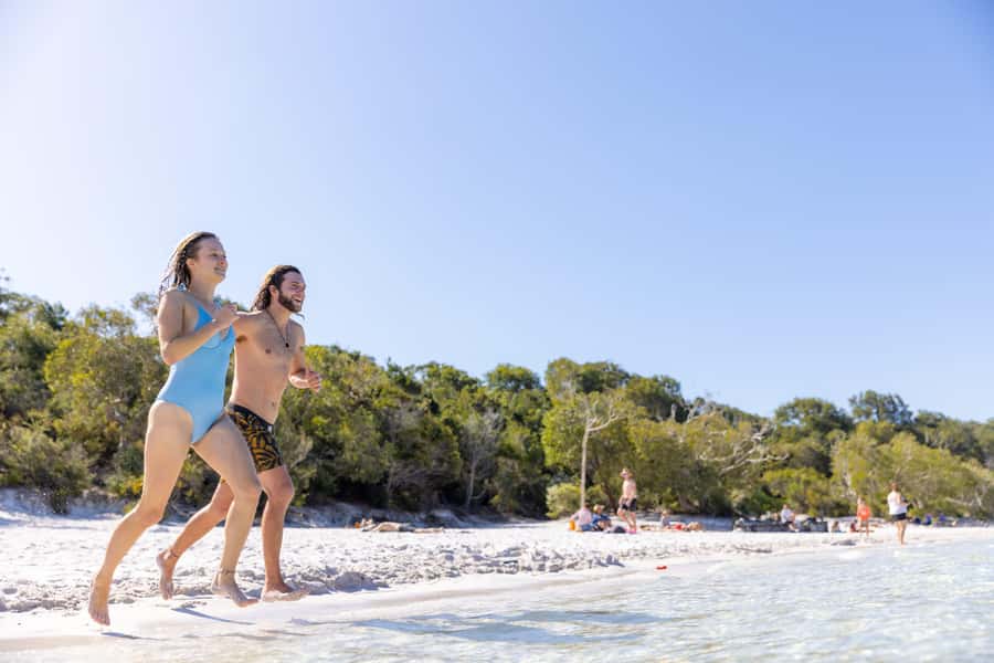 From Noosa: K'gari (Fraser Island) Small-Group Tour - A realistic look at the pace and comfort