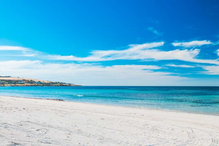 From Penneshaw: Kangaroo Island Shore Excursion Tasting Tour - Kingscote gives you a short break