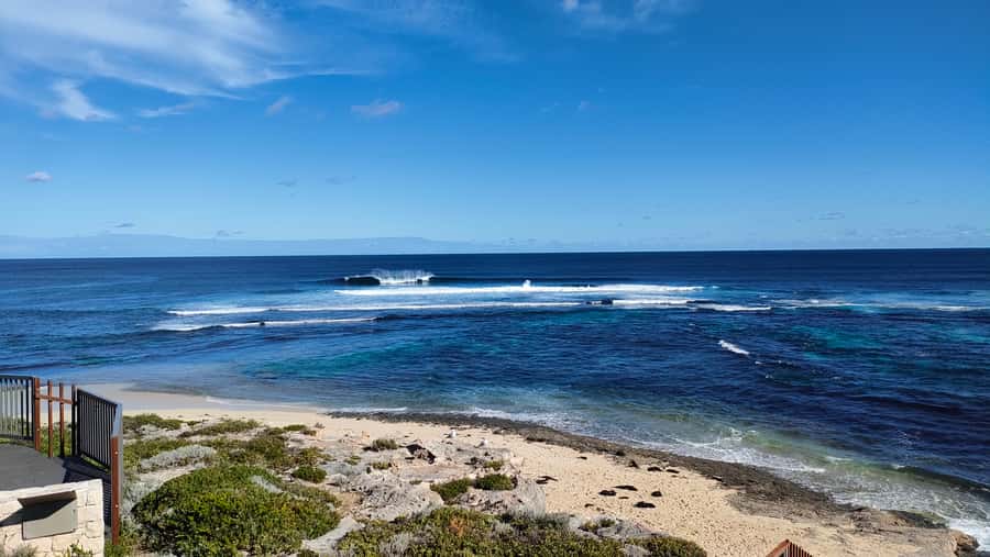 From Perth: Margaret River Region Impression Day Tour - Lunch at Prevelly, with the bill on you
