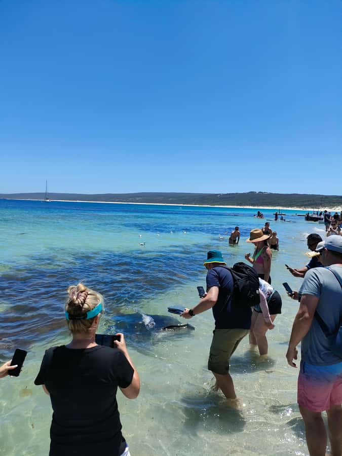 From Perth: Margaret River Region Impression Day Tour - Surfers Point and the big breaks
