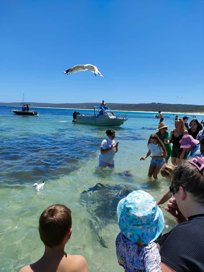 From Perth: Margaret River Region Impression Day Tour - What the $159 price really buys you