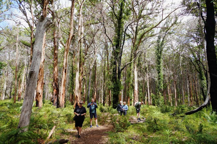 From Perth: Margaret River Region Impression Day Tour - The early road south and the café stop
