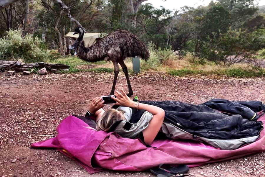 From Perth: Margaret River to Esperance 6-Day Tour - Day 3: Frenchman Peak and a full day at Lucky Bay