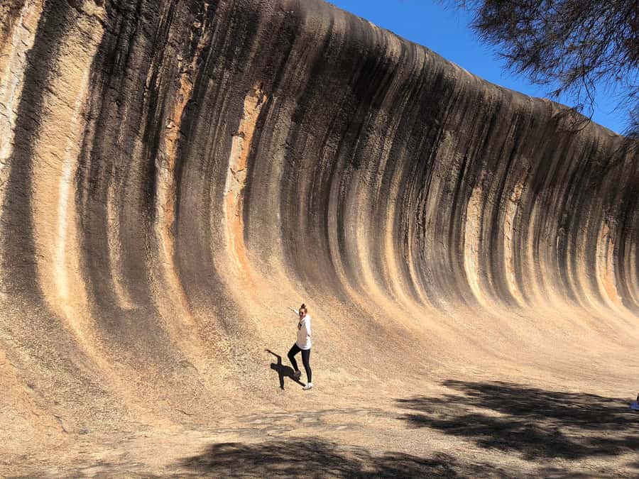 From Perth: Margaret River to Esperance 6-Day Tour - Day 1: York, Wave Rock, and Fitzgerald River National Park
