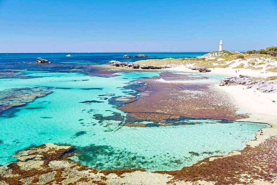 From Perth or Fremantle: Rottnest Island Ferry and Bus Tour - Henrietta Rocks, Cathedral Rocks, and Cape Vlamingh