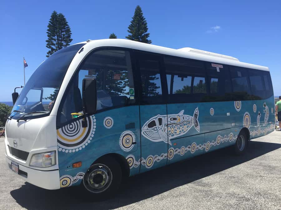 From Perth or Fremantle: Rottnest Island Ferry and Bus Tour - Quokkas, beaches, and your free time