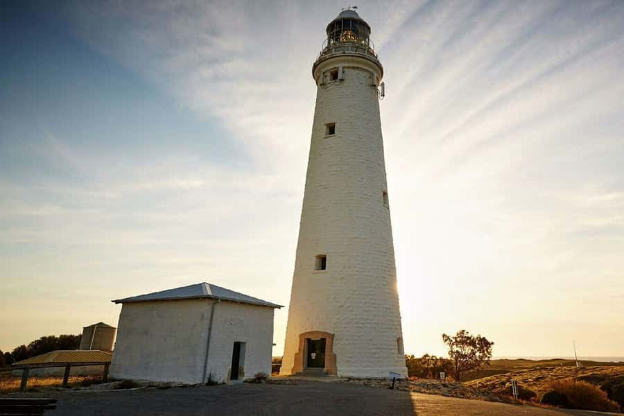 From Perth or Fremantle: Rottnest Island Ferry and Bus Tour - Is $99 good value for a day on Rottnest?
