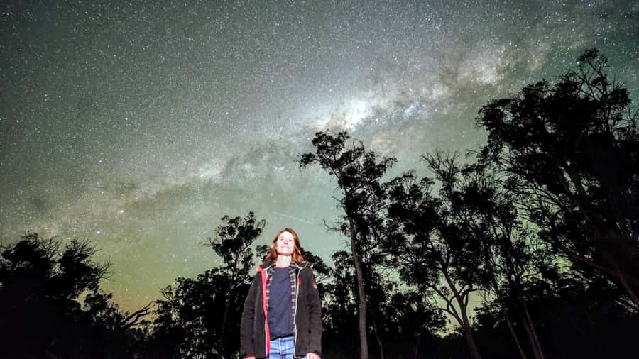 From Perth: Perth Wildlife Tour Under the Stars with Dinner - The long road from Perth to Dryandra