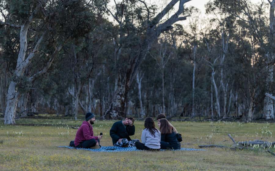 From Perth: Perth Wildlife Tour Under the Stars with Dinner - The Barna Mia nocturnal wildlife experience
