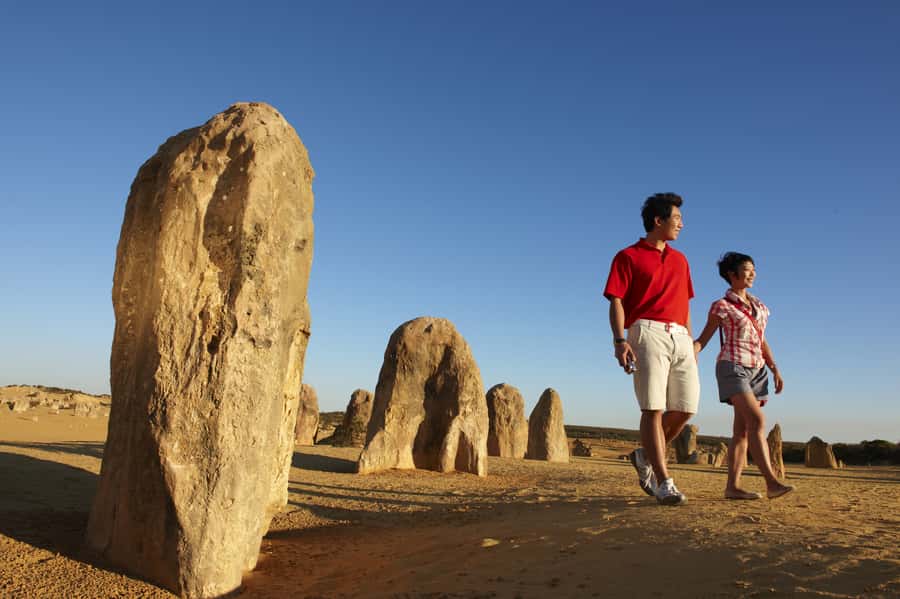 From Perth: Pinnacles Desert, Yanchep & Swan Valley Day Tour - Key points to know before you book