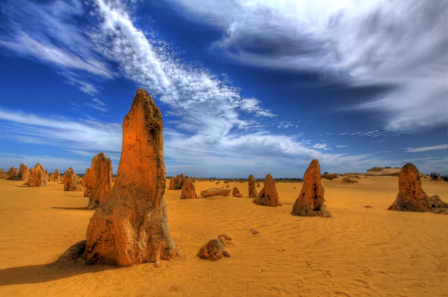 From Perth: Pinnacles Desert, Yanchep & Swan Valley Day Tour - The early start from Perth