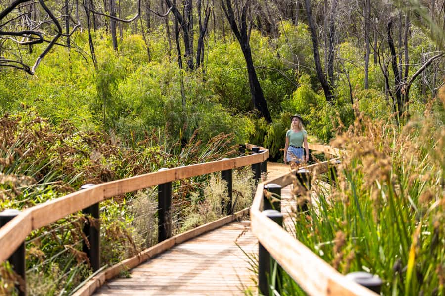 From Perth: Pinnacles Lobster Shack and Yanchep Day Trip - Nambung National Park and the Pinnacles Desert