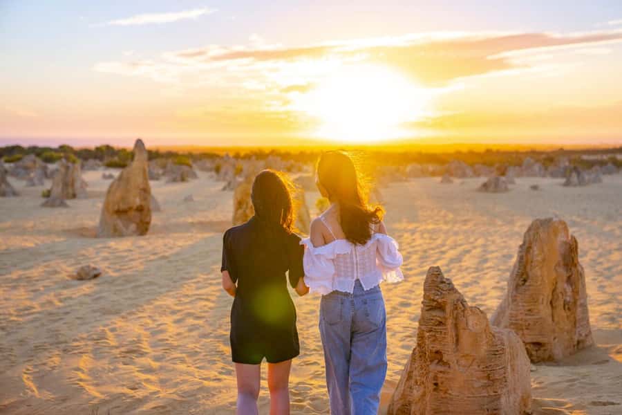 From Perth: Pinnacles Sunset and Stargazing Tour with Dinner - Nilgen Lookout and seasonal wildflowers