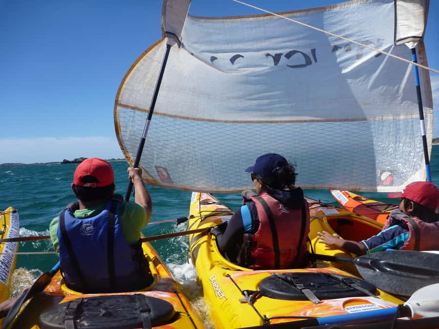 From Perth: Rockingham Seal & Penguin Islands Sea Kayak Tour - Snorkeling, swimming, and free time on the island