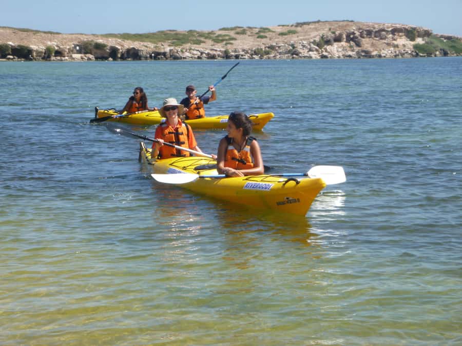 From Perth: Rockingham Seal & Penguin Islands Sea Kayak Tour - Is $140 a fair price?
