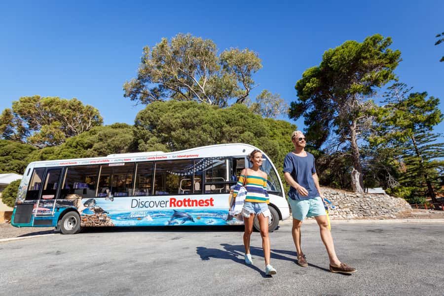 From Perth: Rottnest Island Ferry & Bus Day Tour - Wadjemup Lighthouse and the island’s high points