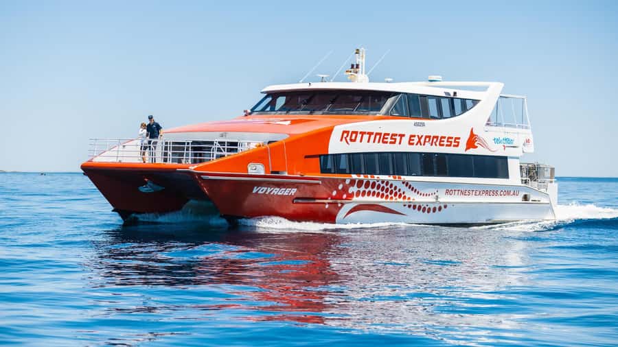 From Perth: Rottnest Island Ferry & Bus Day Tour - Who will enjoy this Rottnest day trip?