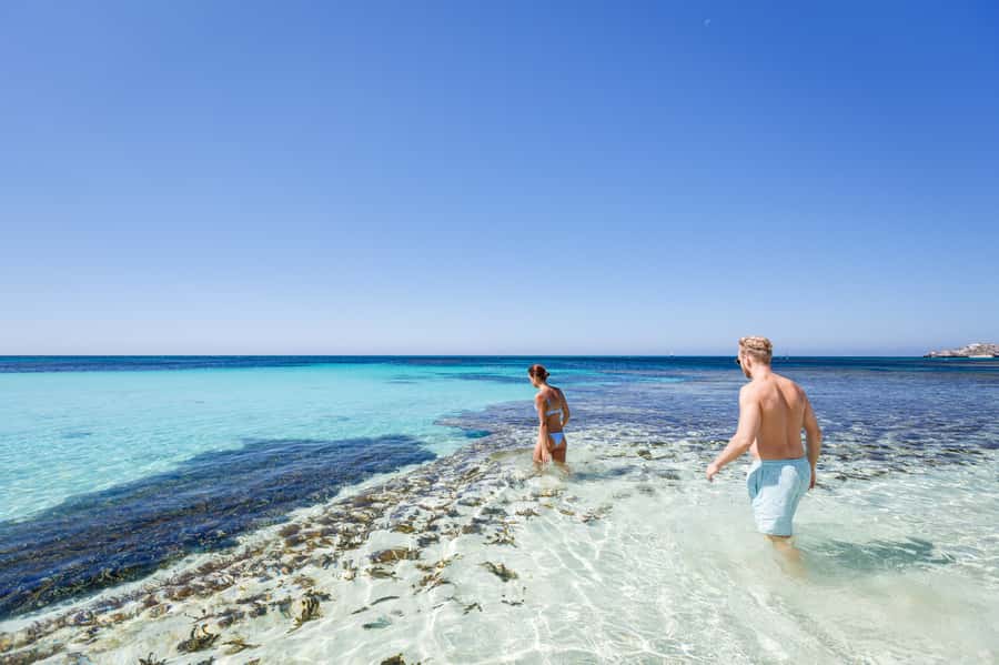 From Perth: Rottnest Island Ferry & Bus Day Tour - Finding the bus at Thomson Bay